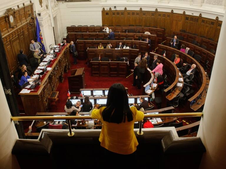 Consejo Constitucional: oficialismo critica figura del TC y aseguran que operará como una «tercera cámara»