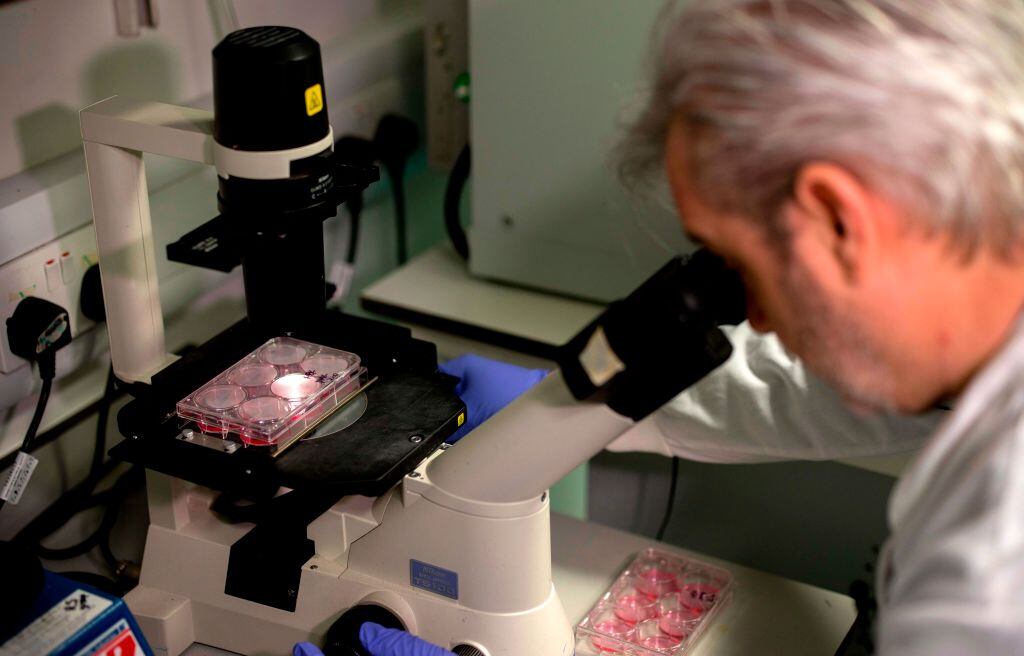 El doctor Paul McKay estudia una vacuna para el coronavirus