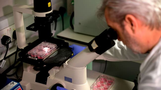 El doctor Paul McKay estudia una vacuna para el coronavirus