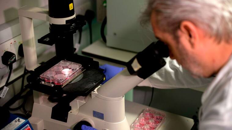 El doctor Paul McKay estudia una vacuna para el coronavirus