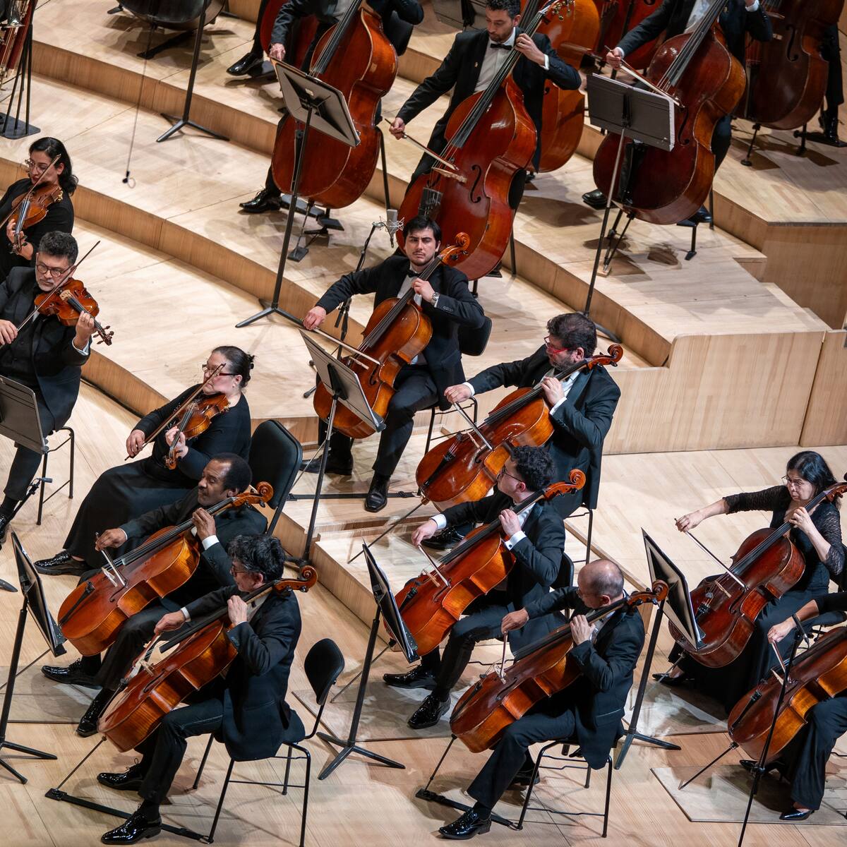 Carmen y la intensidad de Prokofiev llegan a la Gran Sala Sinfónica Nacional con “Appassionato”