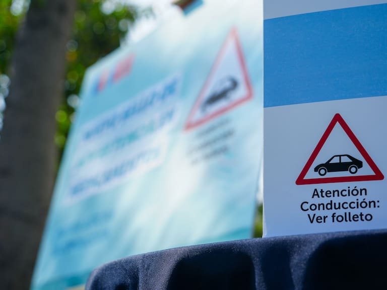 Tras nuevo etiquetado: estos son los medicamentos que pueden afectar la conducción