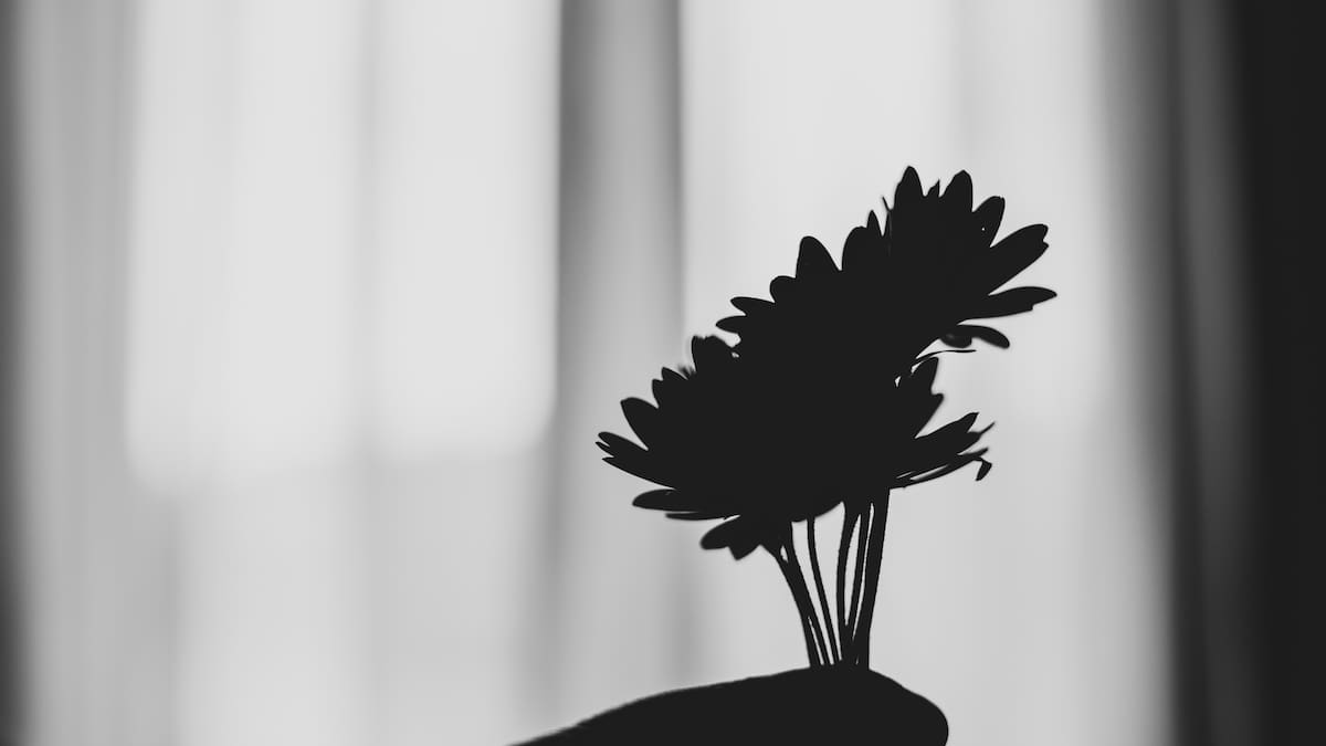 Qué es la “primavera gris”, el trastorno que puede afectar la salud mental con el cambio de estación