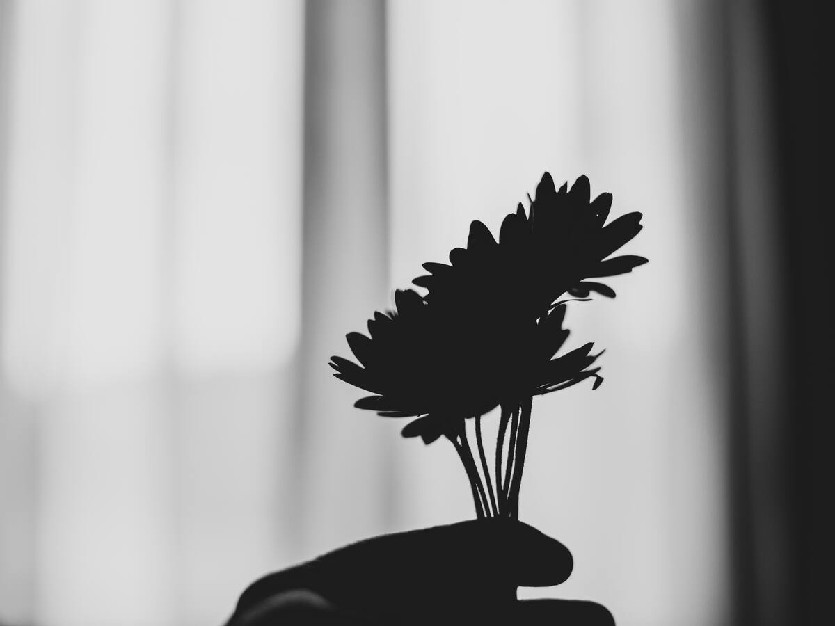 Qué es la “primavera gris”, el trastorno que puede afectar la salud mental con el cambio de estación