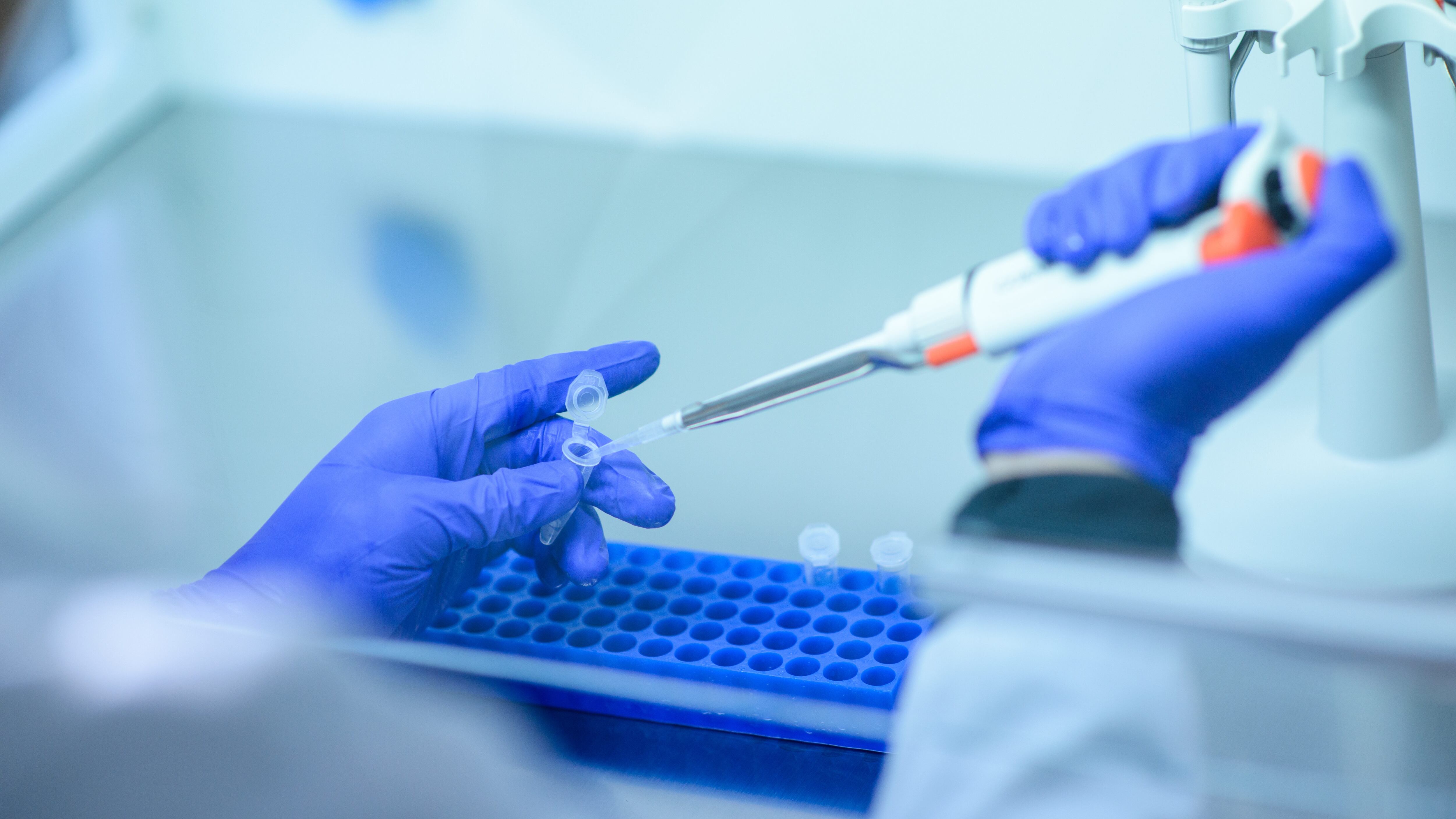 investigation and research dna, virus, bacteria