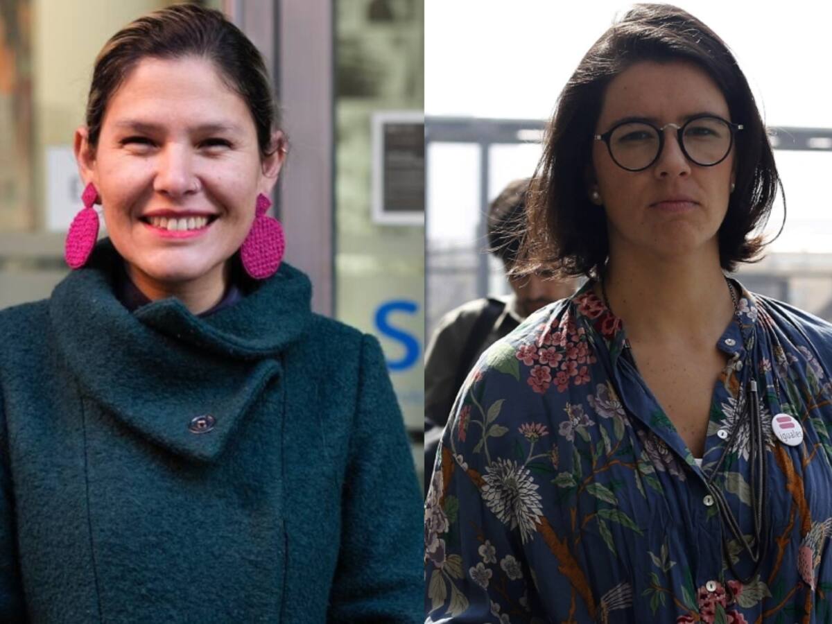 Ella “relativiza una condena de la justicia”: directora nacional de SernamEG entrega detalles del polémico despido de Isabel Amor a dos días de asumir