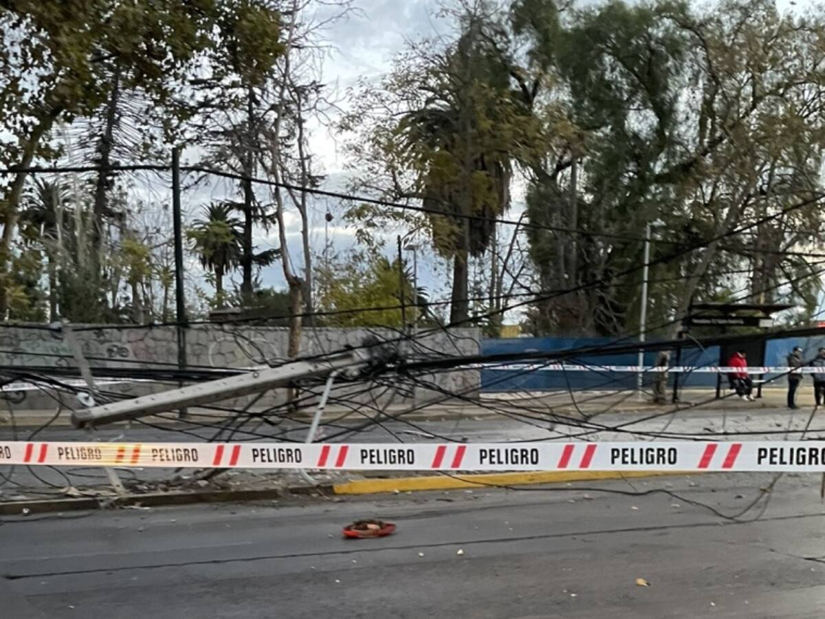 Conductor de bus RED se queda dormido y derriba poste en El Bosque: tránsito se mantiene cortado en Gran Avenida