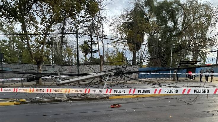 Conductor de bus RED se queda dormido y derriba poste en El Bosque: tránsito se mantiene cortado en Gran Avenida