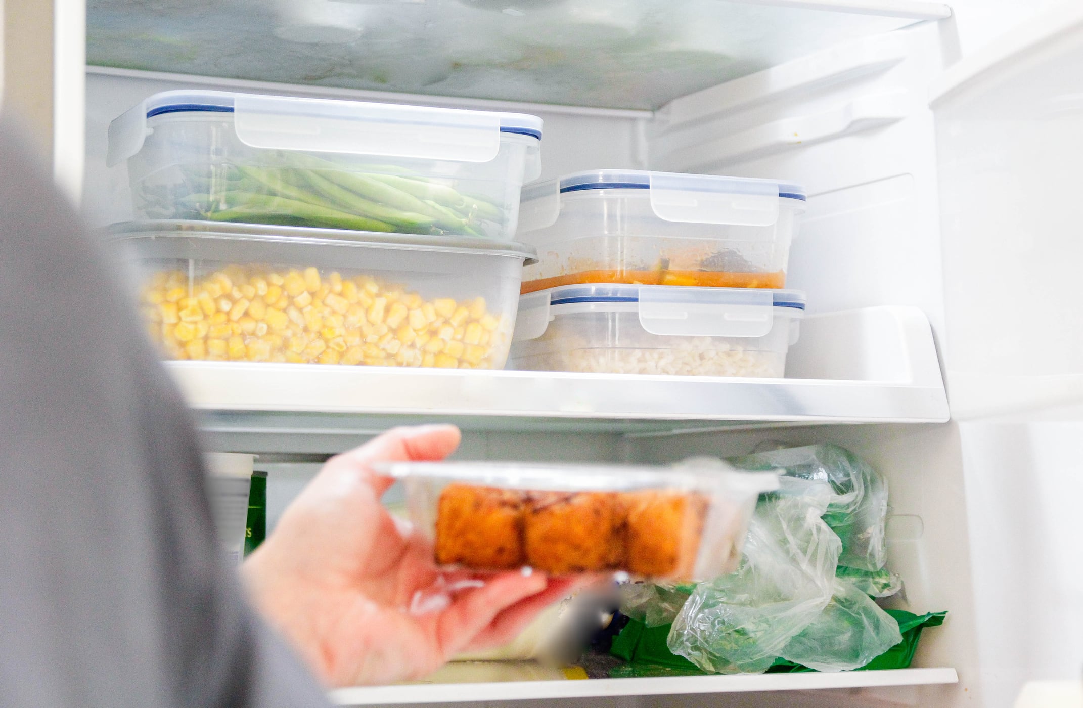 Conservación de los alimentos