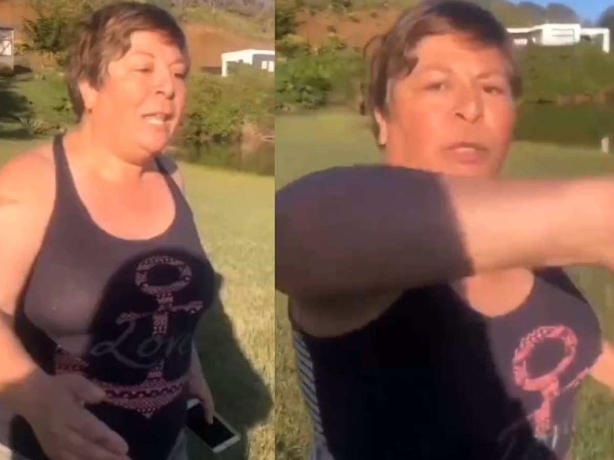 “Te iba a pegar”: Viralizan imágenes donde propietaria de camping niega acceso a jóvenes al Lago Budi