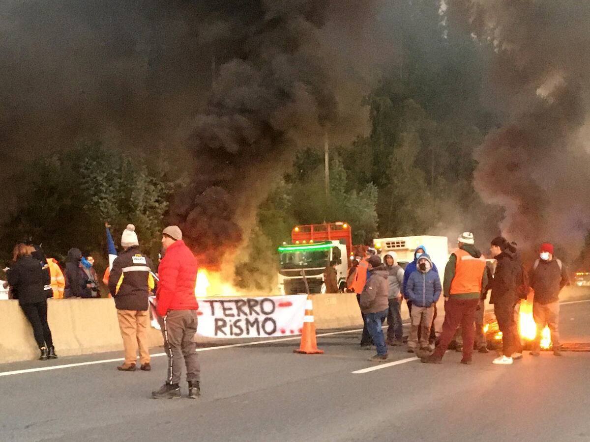 Paro de trabajadores forestales en el Biobío: contratistas valoran propuesta de Gobierno