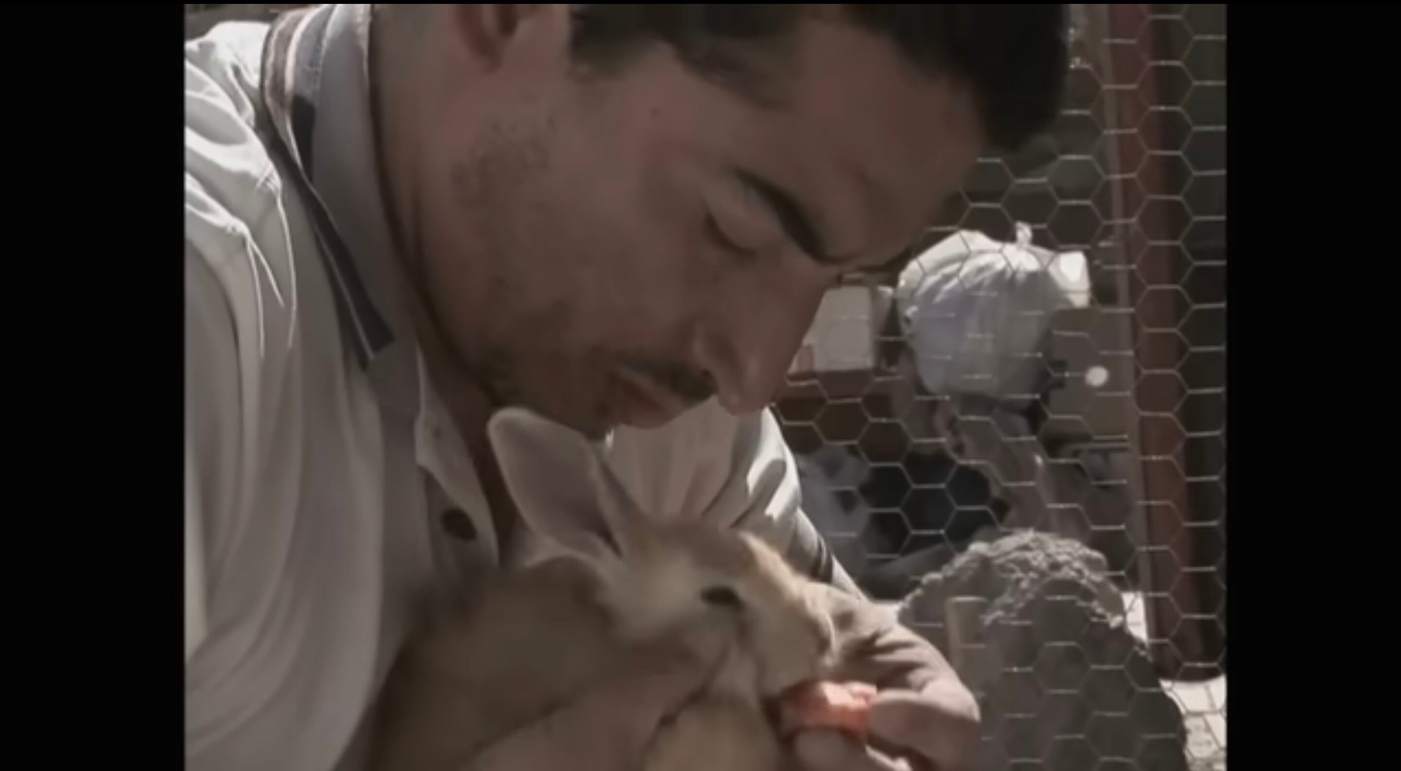 Rodrigo González. Captura de pantalla TVN.