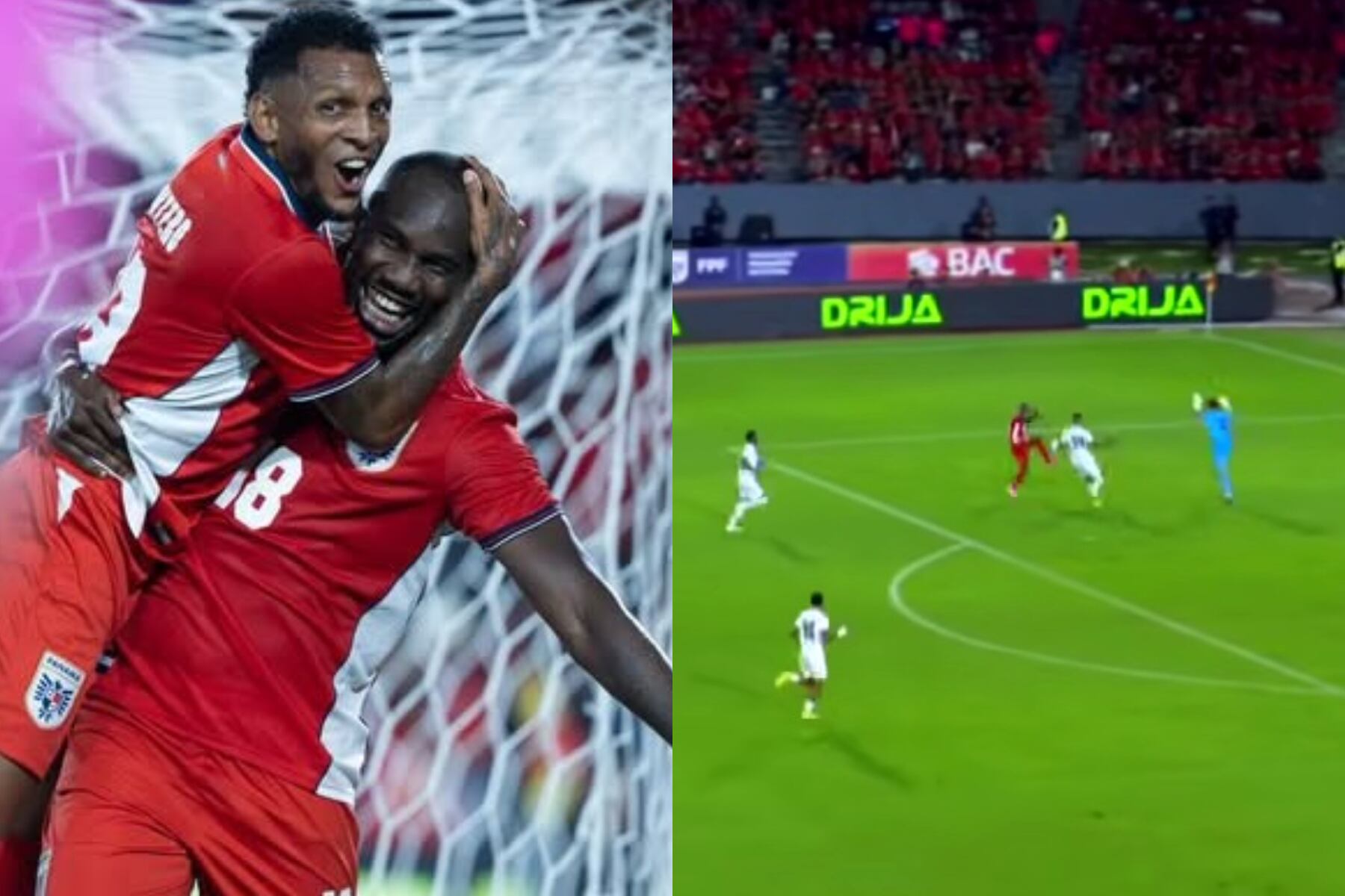 @fepafut