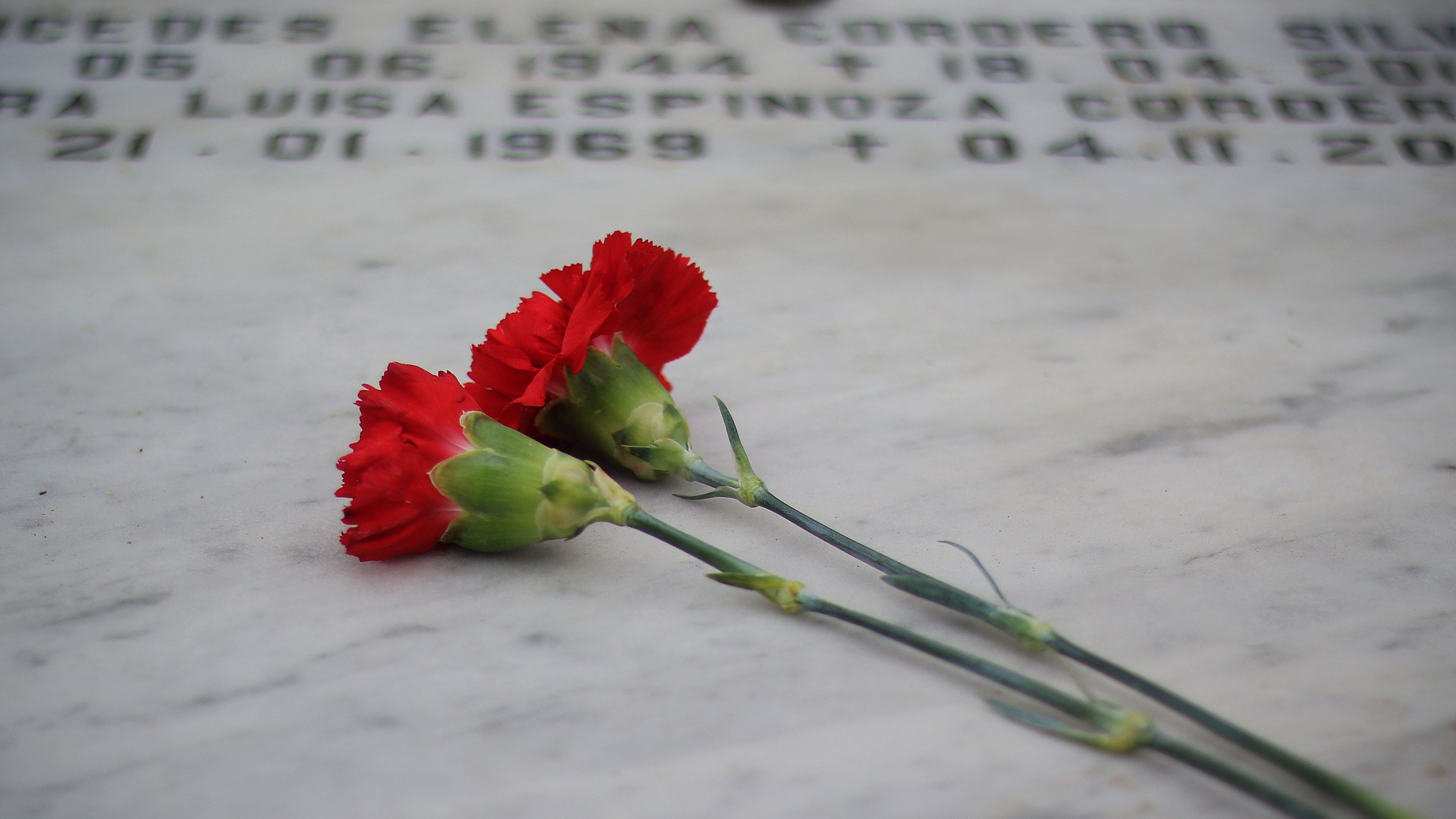 Hombre declarado muerto por error recupera su identidad: tenía hasta una lápida con su nombre