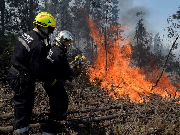 Senapred eleva a 26 los fallecidos en incendios forestales y las casas destruidas llegaron a cerca de 1.200