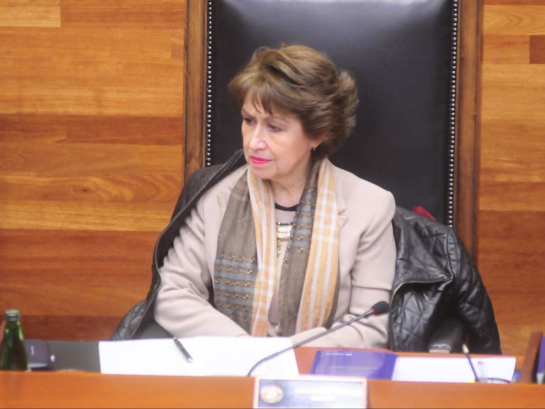 16 de agosto de 2017/SANTIAGOMinistros del Tribunal Constitucional. Marisol Peña.
FOTO: SEBASTIAN BELTRAN GAETE/AGENCIAUNO