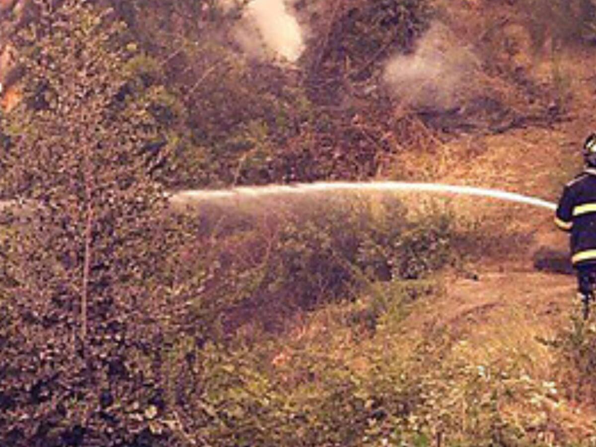 Alerta Roja en Collipulli por incendio forestal cerca de Reserva Nacional Malleco