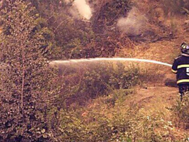 Alerta Roja en Collipulli por incendio forestal cerca de Reserva Nacional Malleco