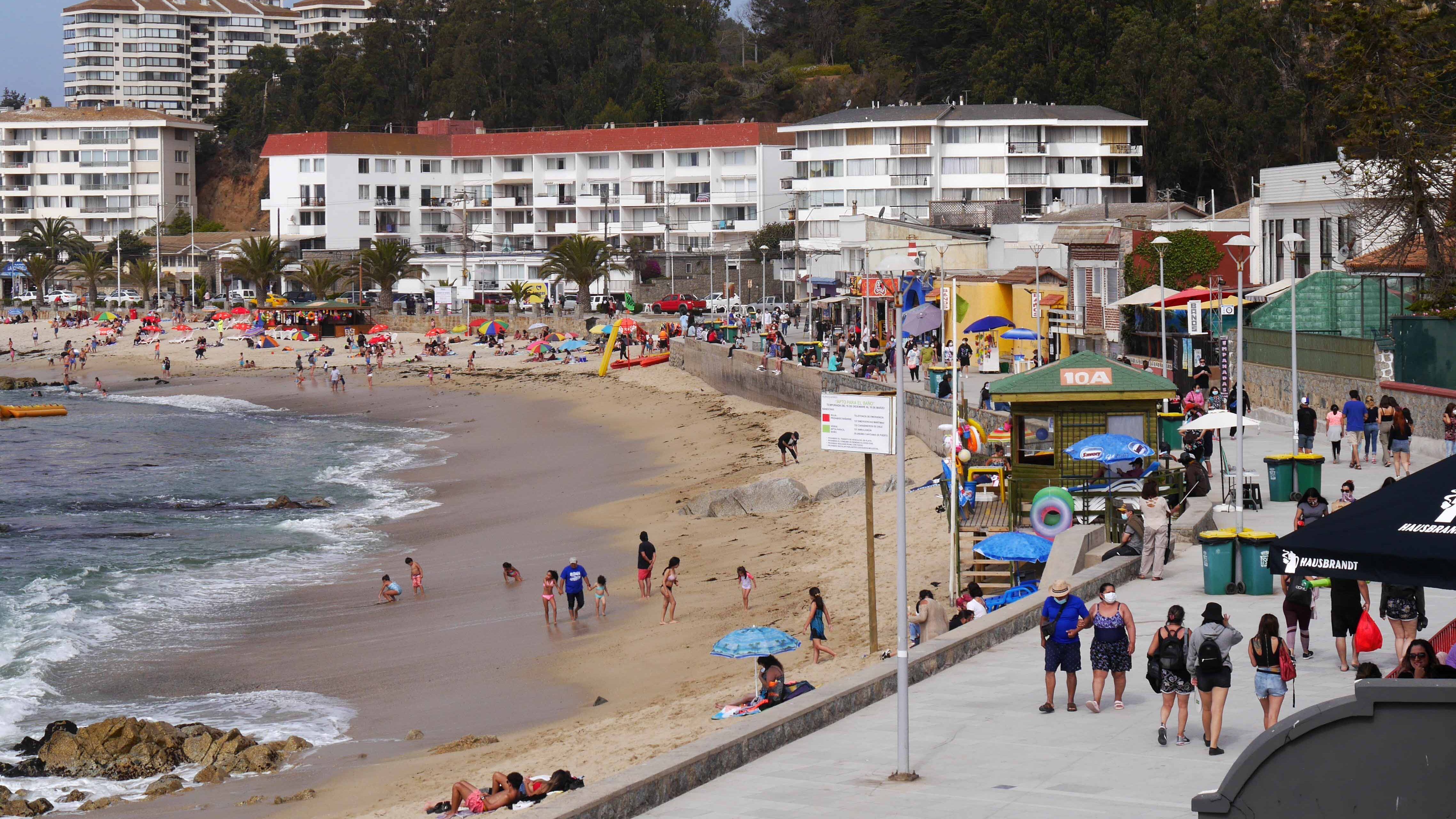 Algarrobo