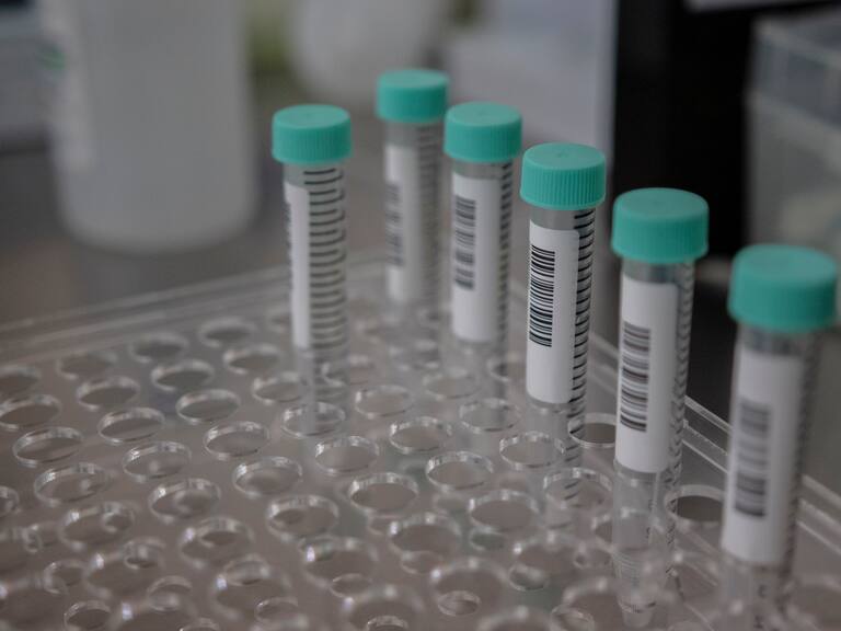 10 de Febrero 2022 / SANTIAGO
Aumenta la demanda de tomas de examen PCR.

FOTO: LUIS FELIPE ARAYA / AGENCIA UNO