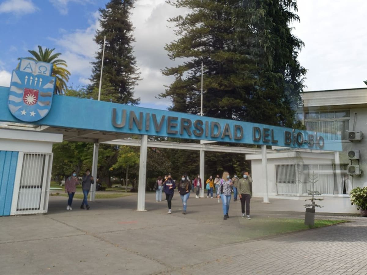 Contraloría detecta fallas en la U. del Biobío para recuperar más de $4.200 millones en becas docentes