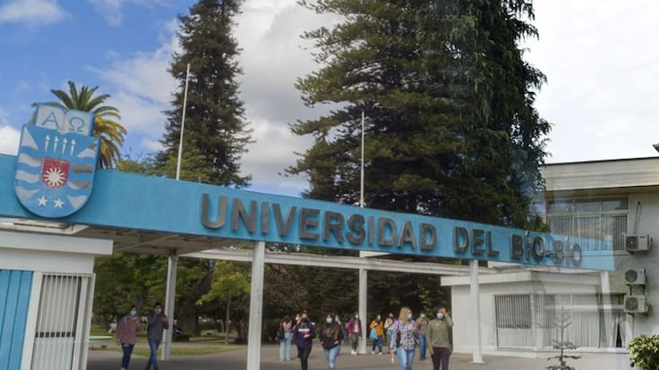 Contraloría detecta fallas en la U. del Biobío para recuperar más de $4.200 millones en becas docentes