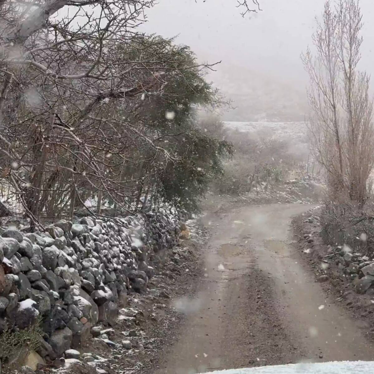 El valle del Elqui se tiñe de blanco: registran caída de nieve en la región de Coquimbo