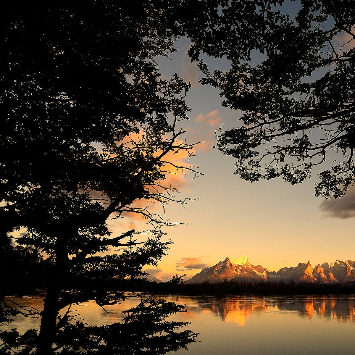 Turistas son sancionados por prender fuego en Torres del Paine: no podrán regresar a Chile por tres años
