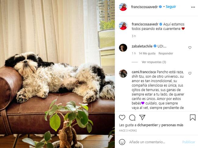 Instagram