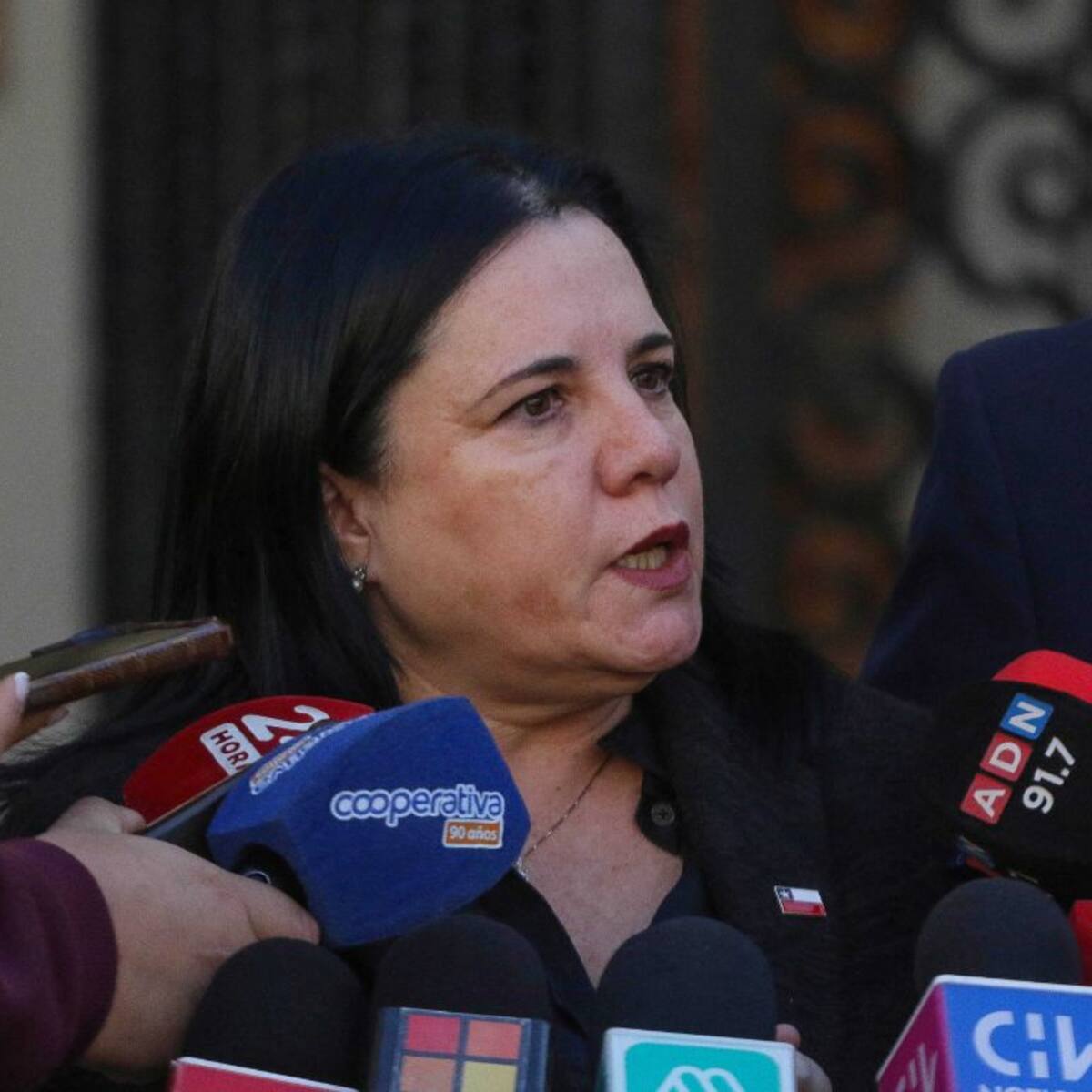 “No vamos a parar”: ministra Steinert destaca operativo en Temucuicui y anticipa nuevos operativos