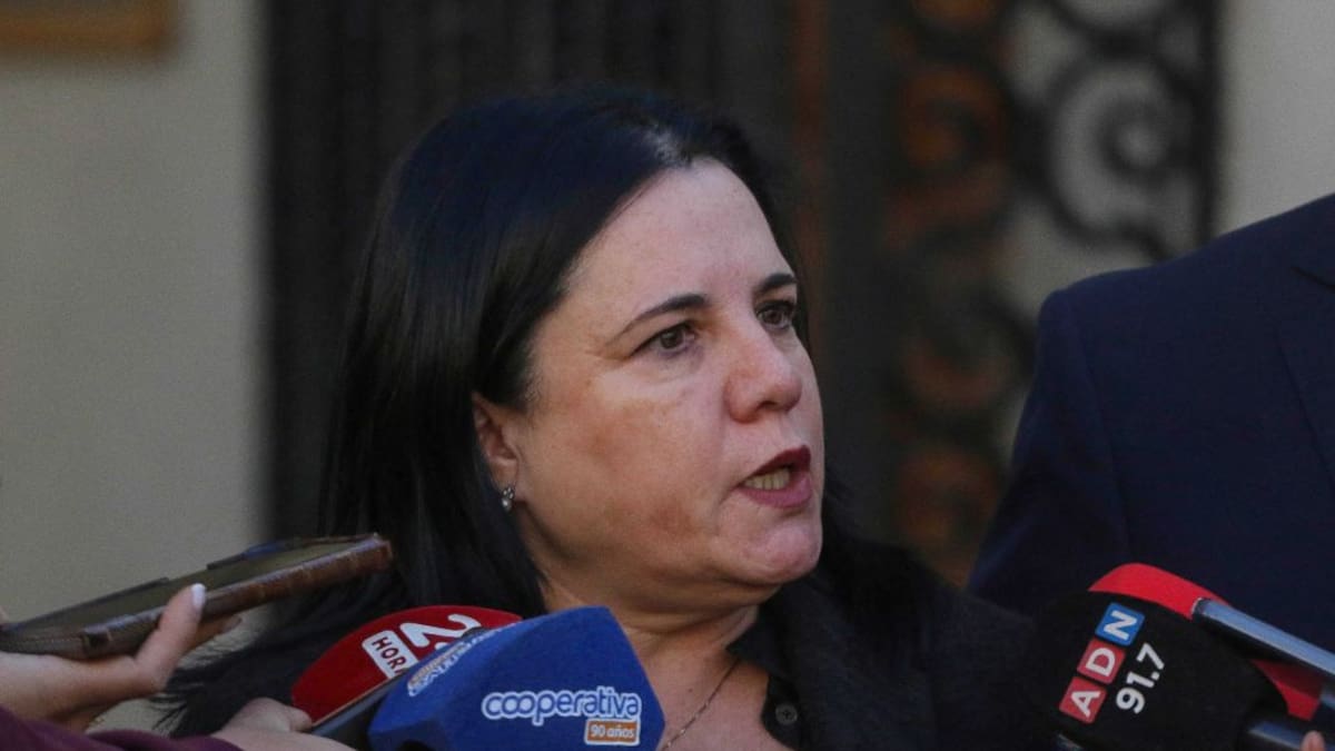 Cámara rechaza comisión investigadora contra exministra Steinert tras duro dictamen de Contraloría