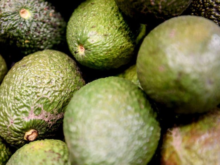 05 February 2020, Berlin: Avocado will be presented at Fruit Logistica, the international trade fair for fruit and vegetable marketing. Photo: Britta Pedersen/dpa-Zentralbild/ZB (Photo by Britta Pedersen/picture alliance via Getty Images)
