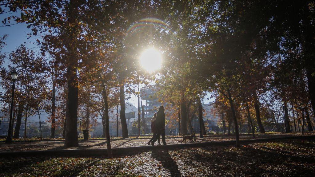 Parque Forestal, 1024x576 jpg ok