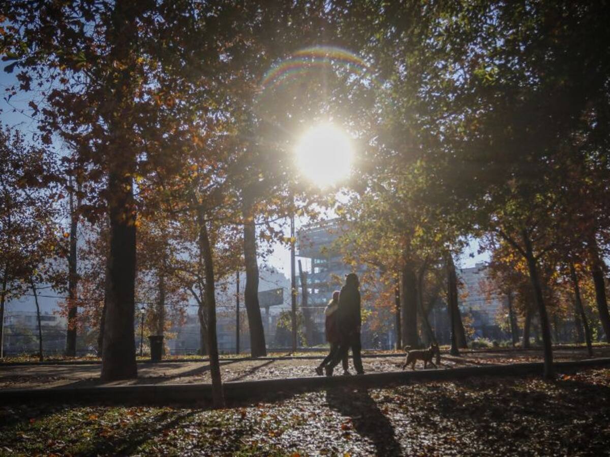 Línea 7 del Metro de Santiago: autoridades anuncian que no se intervendrá el Parque Forestal