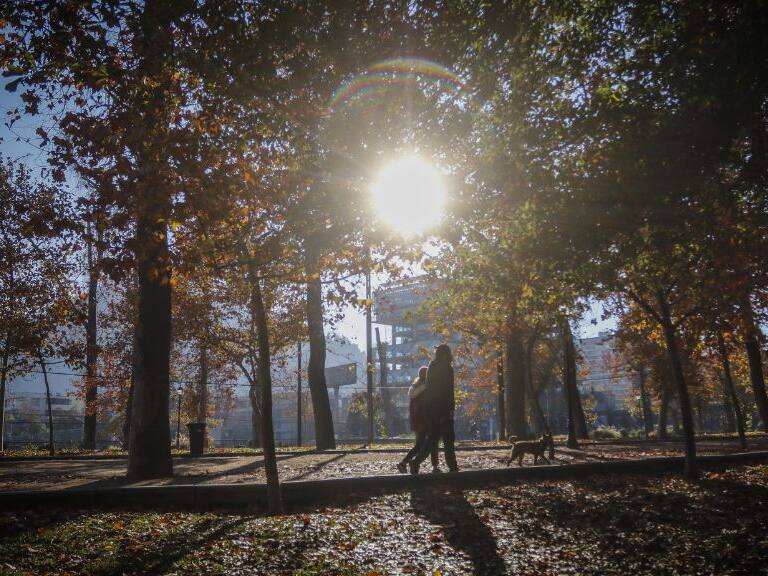 Parque Forestal, 1024x576 jpg ok