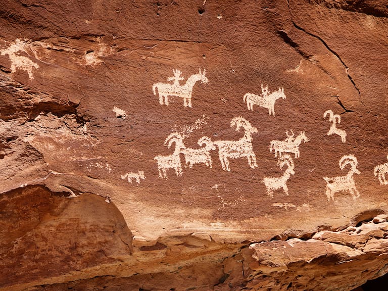 Horóscopo nativo americano: qué animal te corresponde según tu signo y cuál significado tiene cada uno