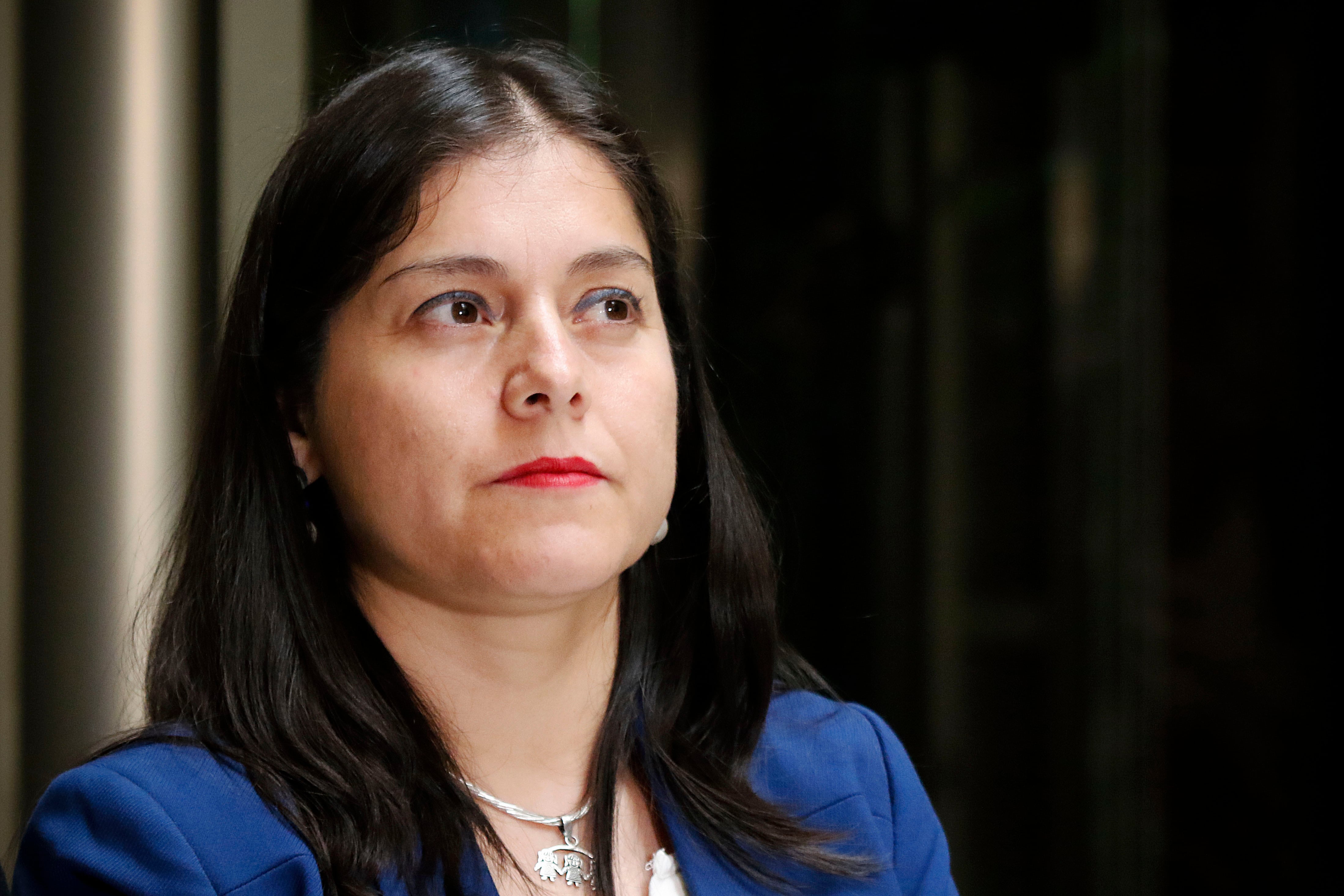 Agencia UNO | La diputada Karen Medina