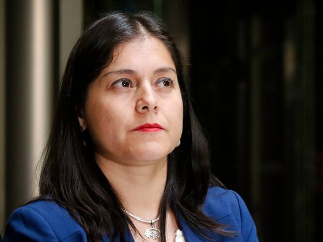 Agencia UNO | La diputada Karen Medina