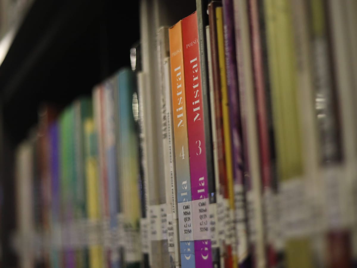 Abren convocatoria nacional para agregar poesía chilena a bibliotecas escolares: así se postula