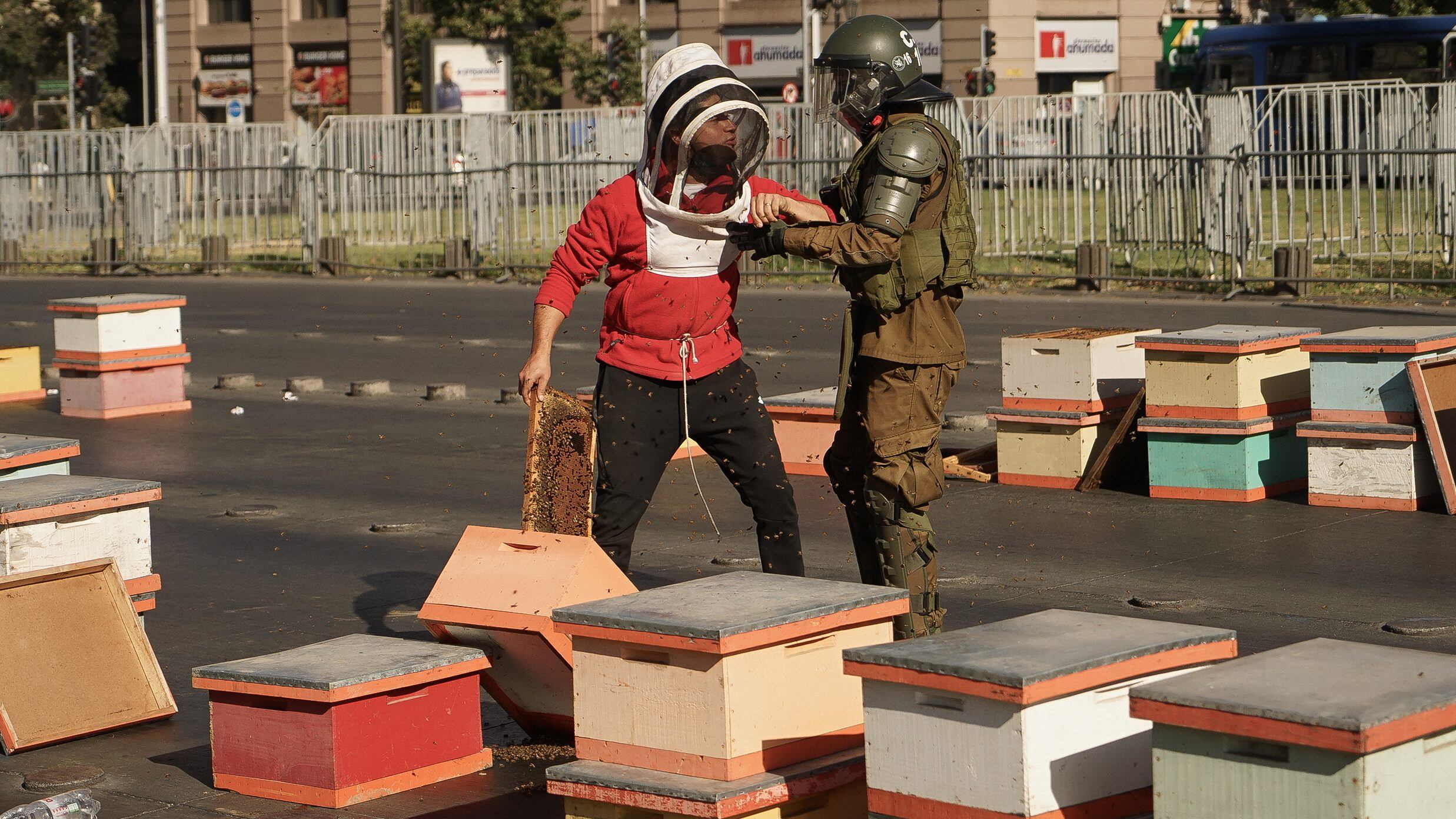 Protesta apicultores. / Agencia Uno