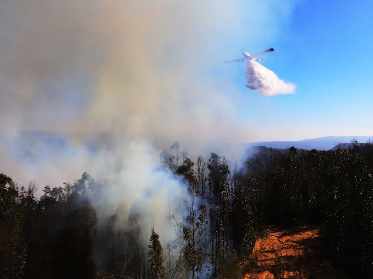 Por altas temperaturas: Conaf activa Botón Rojo en seis regiones del país ante riesgo de incendios forestales