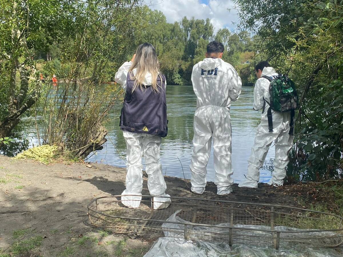 A días del hallazgo: PDI confirma identidad del cuerpo encontrado a la orilla del río Toltén