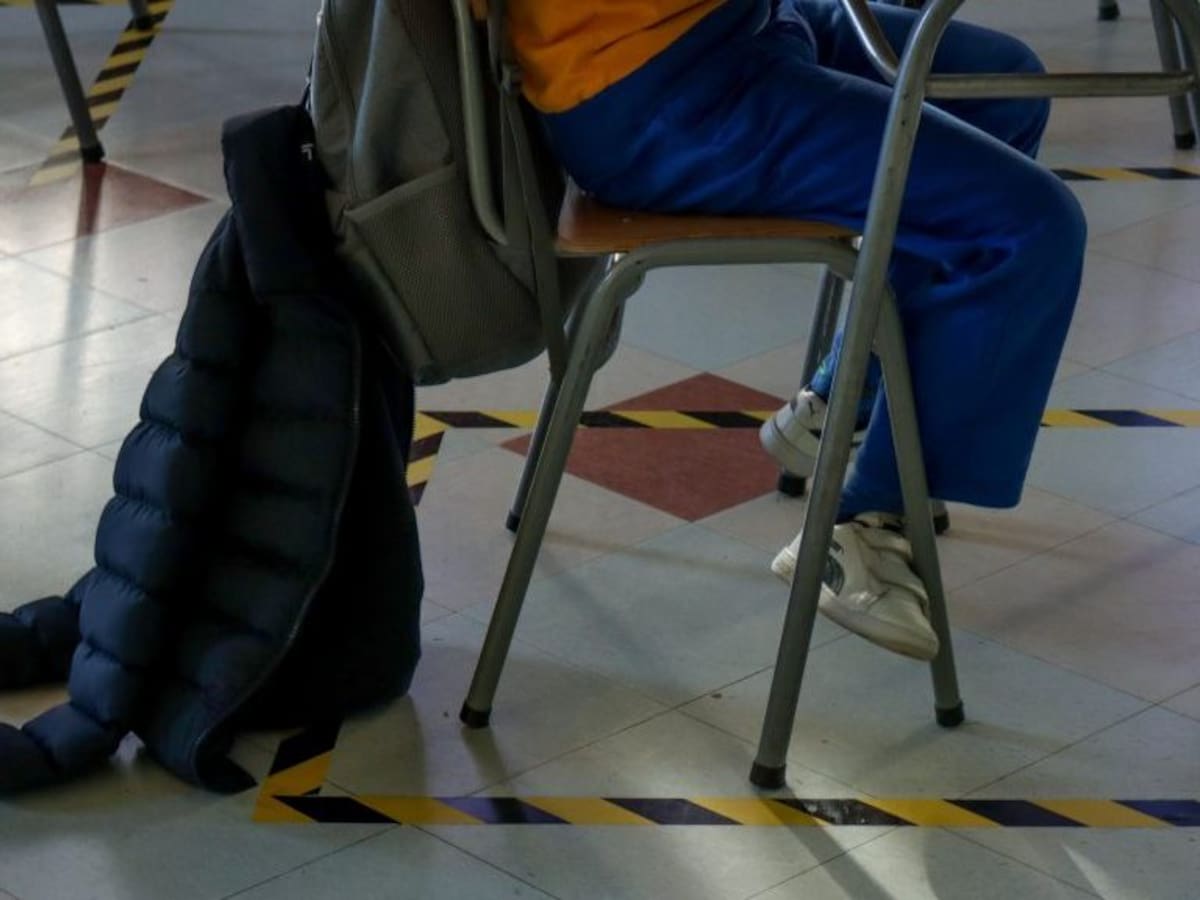Abren sumario por presunta agresión de directora de colegio de La Florida a niño TEA de 6 años
