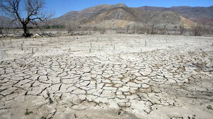Chile suma 15 años de megasequía y casi 2 millones de hectáreas quemadas: advierten intensificación del cambio climático