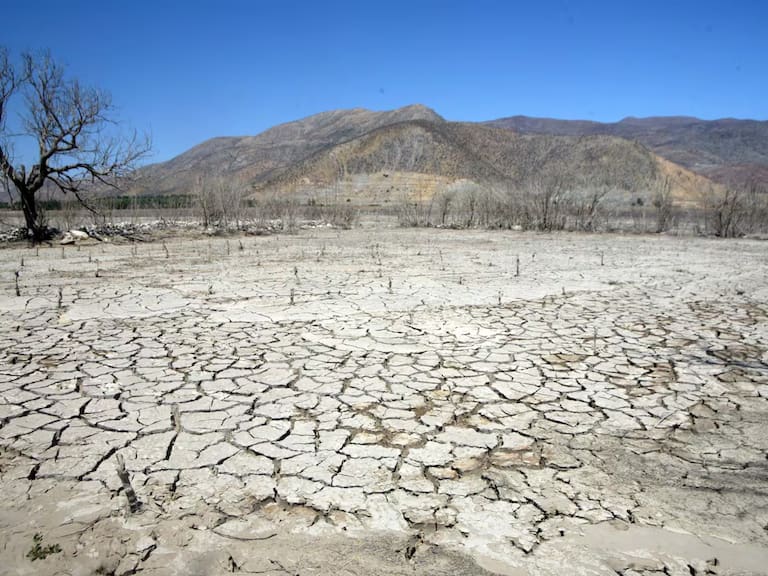 Chile suma 15 años de megasequía y casi 2 millones de hectáreas quemadas: advierten intensificación del cambio climático