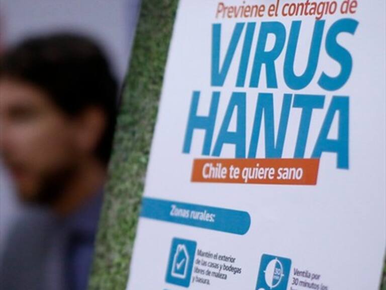 Se confirma nuevo caso de Hantavirus en Puerto Montt