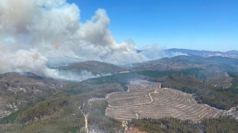 Incendio en Los Sauces ya consumió 9 mil hectáreas de la Región de Araucanía