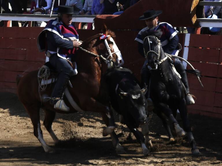 Consejo Constitucional rechaza establecer rodeo como deporte nacional