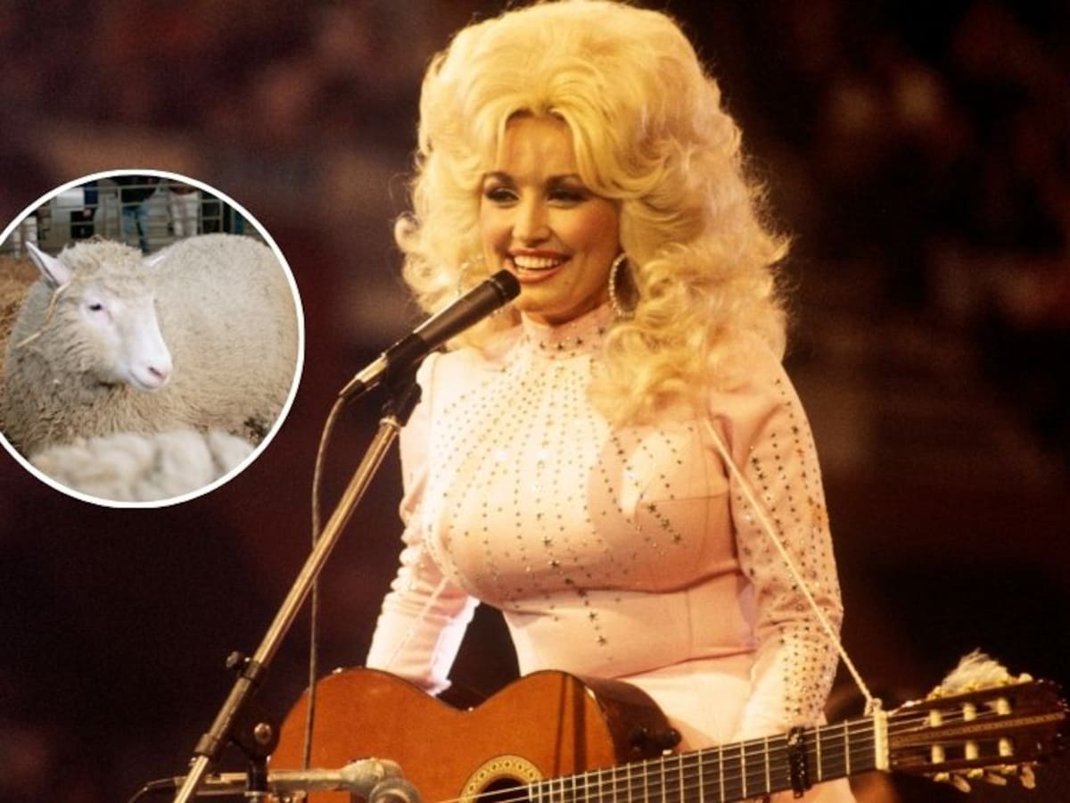 La historia que une a Dolly Parton con la oveja clonada más famosa del mundo: inesperada conexión