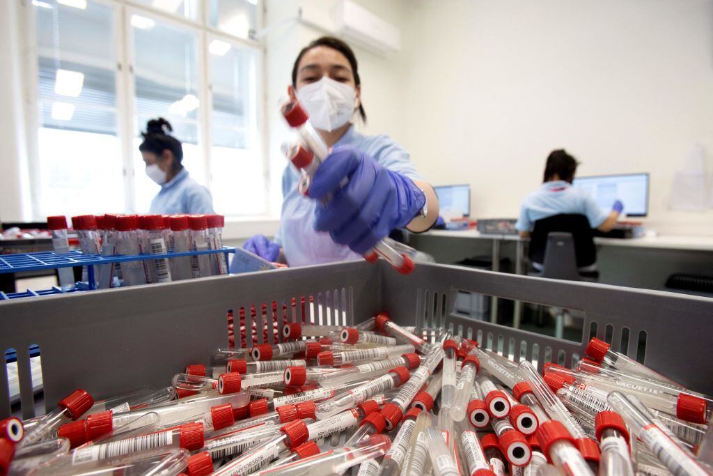 Trabajadores de un laboratorio analizan exámenes del covid-19